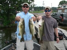 image stripes and bass 009.JPG